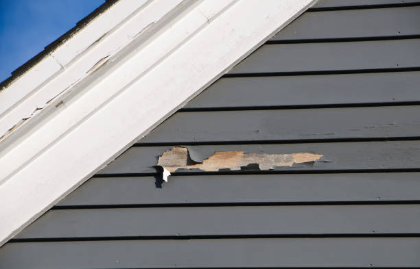 Shed Removal in Shepherd, TX